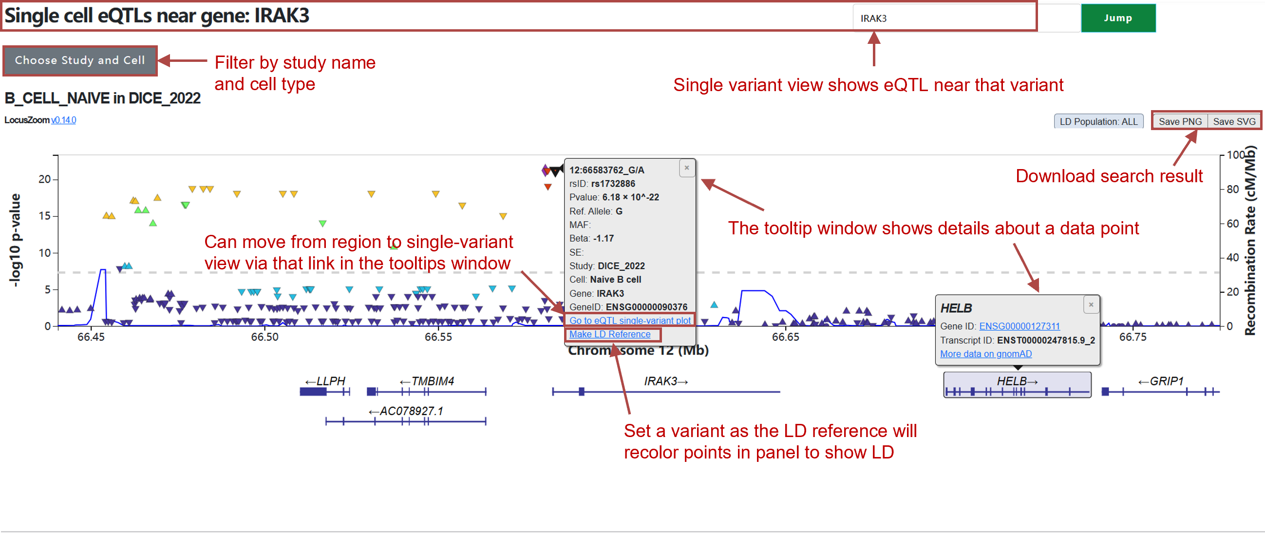 Single cell eQTL hub