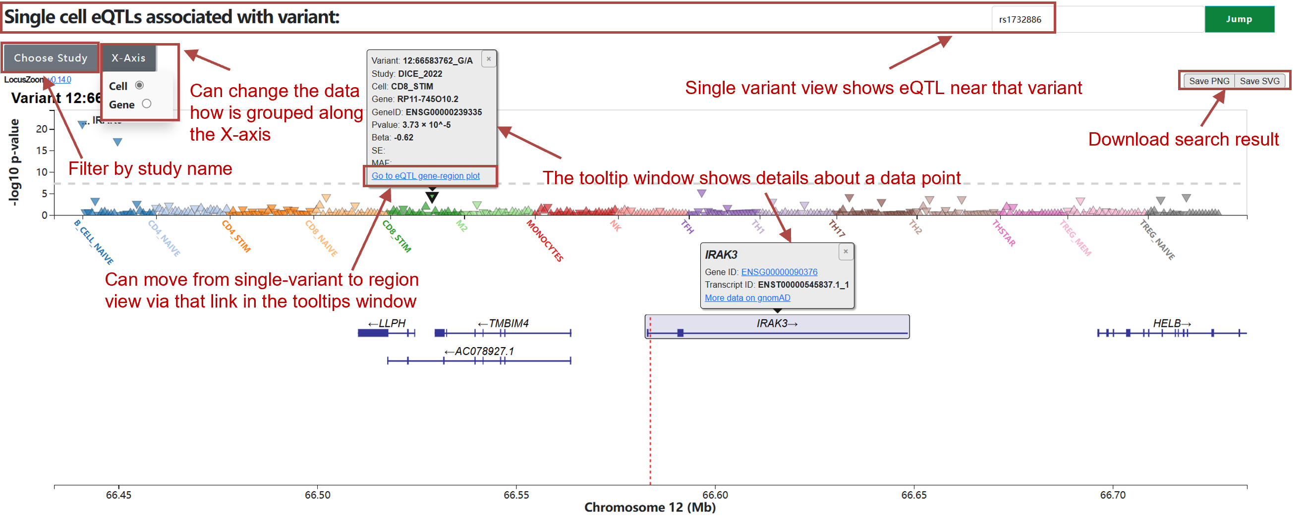 Single cell eQTL hub